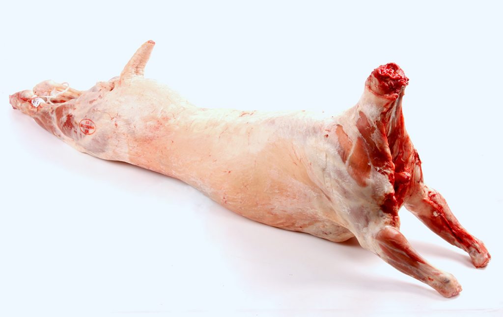 Lamb Carcass - Chilled (South Africa)