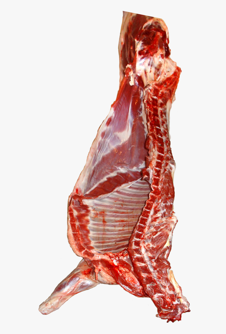 Lamb Carcass - Chilled (Ireland)